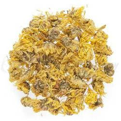Chrysanthemum
