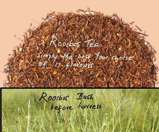 Rooibos 100% caffeine free 