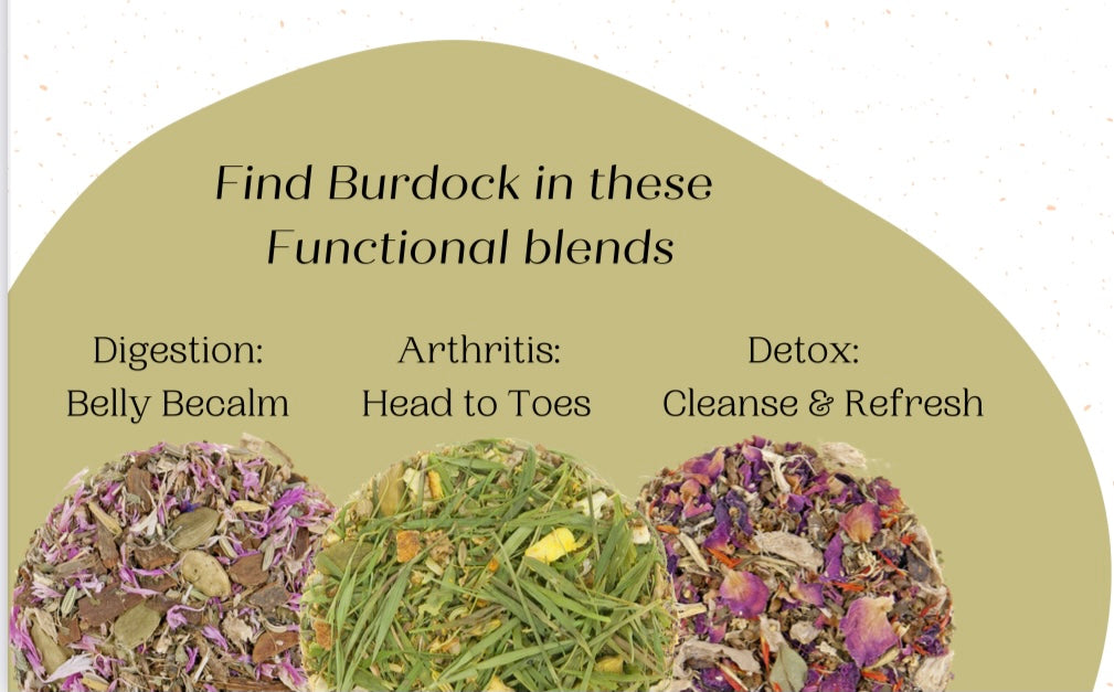 Burdock Root Tea