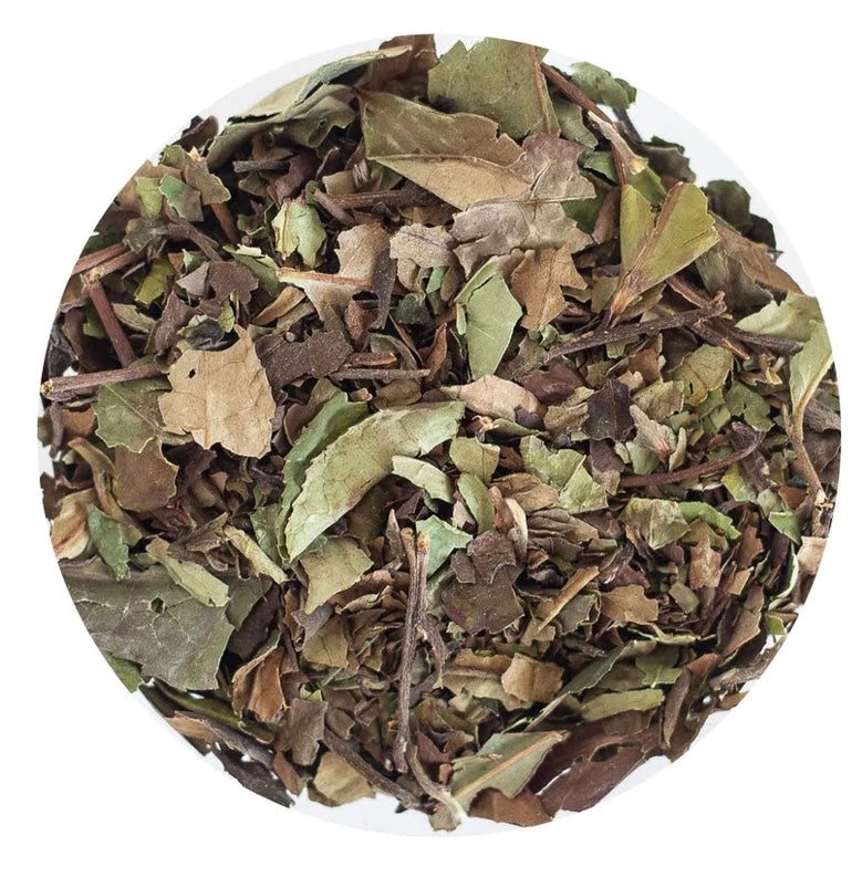 Organic PAi MU TAN White Tea