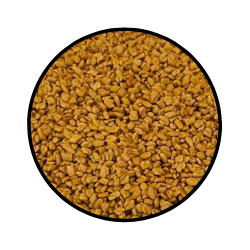 Fenugreek Seeds